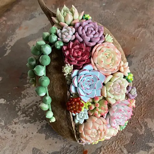 5 Simple things to make with clay