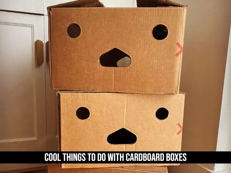 Cool Things To Do With Cardboard Boxes