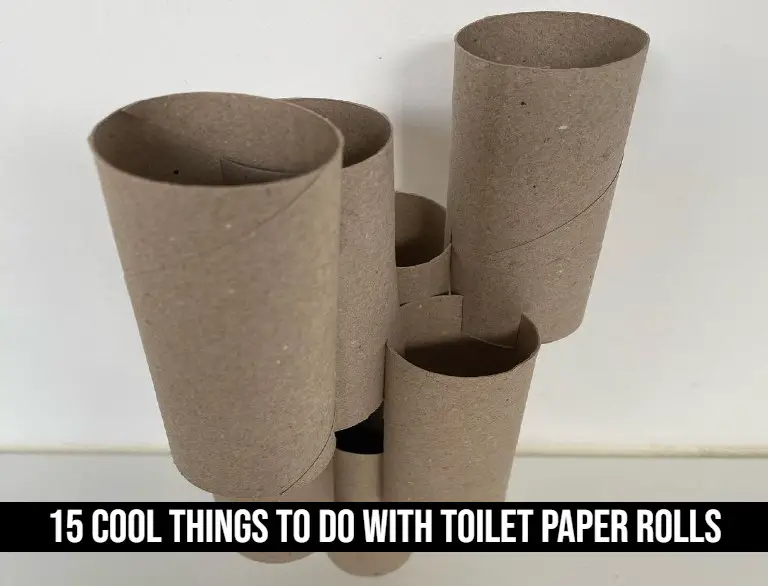 15 Cool Things To Do With Toilet Paper Rolls