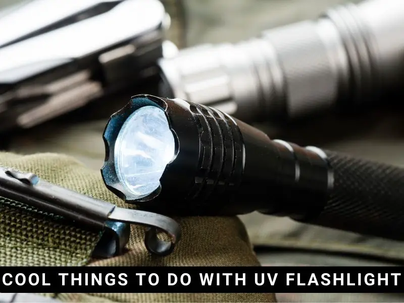 Cool Things to Do With UV Flashlight