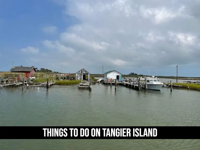 Things to Do on Tangier Island