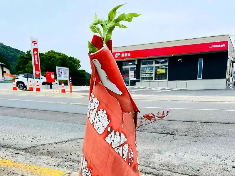 A traffic cone transformed into a plant holder sits on the side of the road.